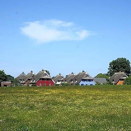 Geraeumige Mit Garten